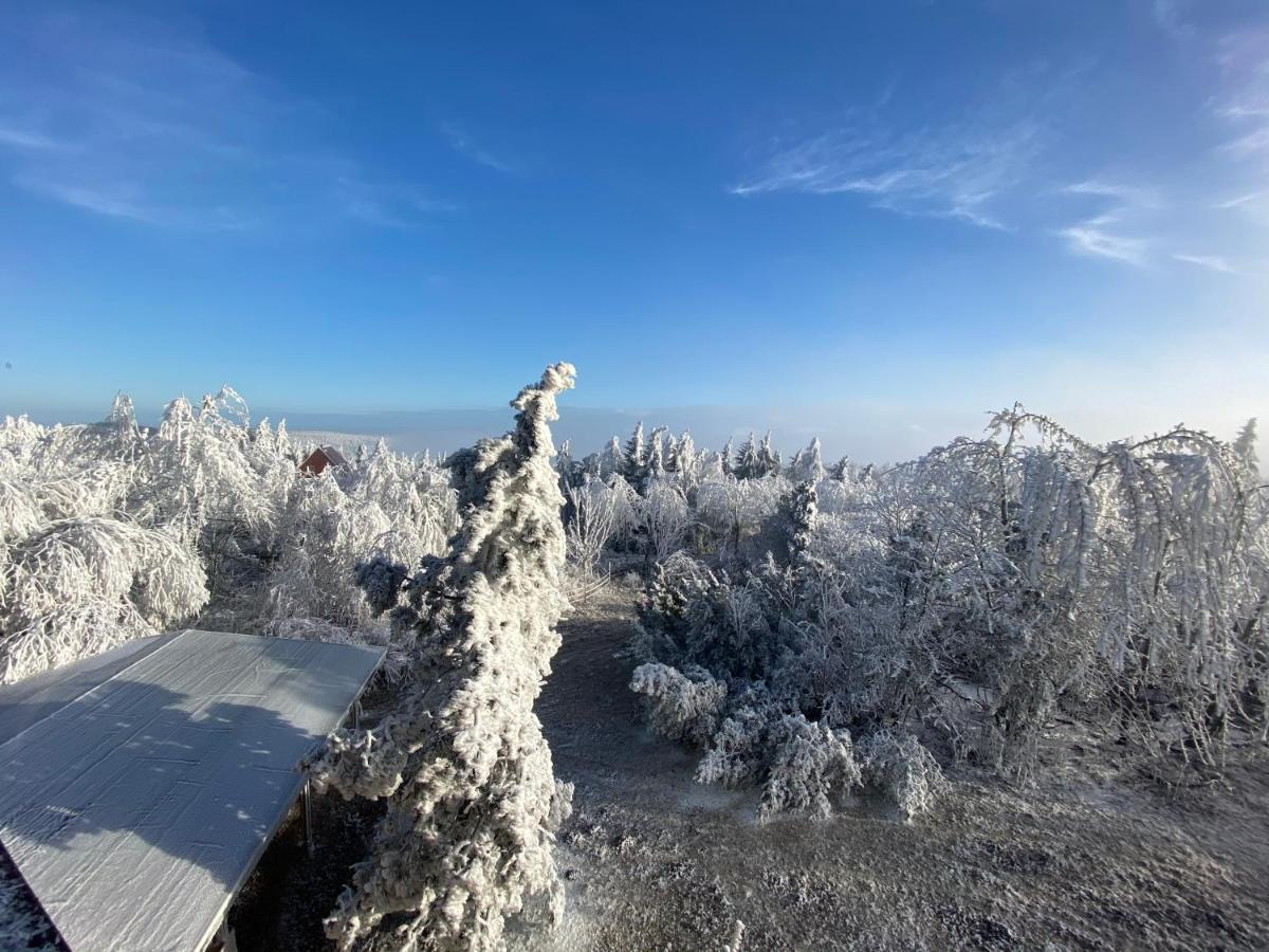 Hotel Lugsteinhof Алтенберг Източен Ерцгебирге Екстериор снимка