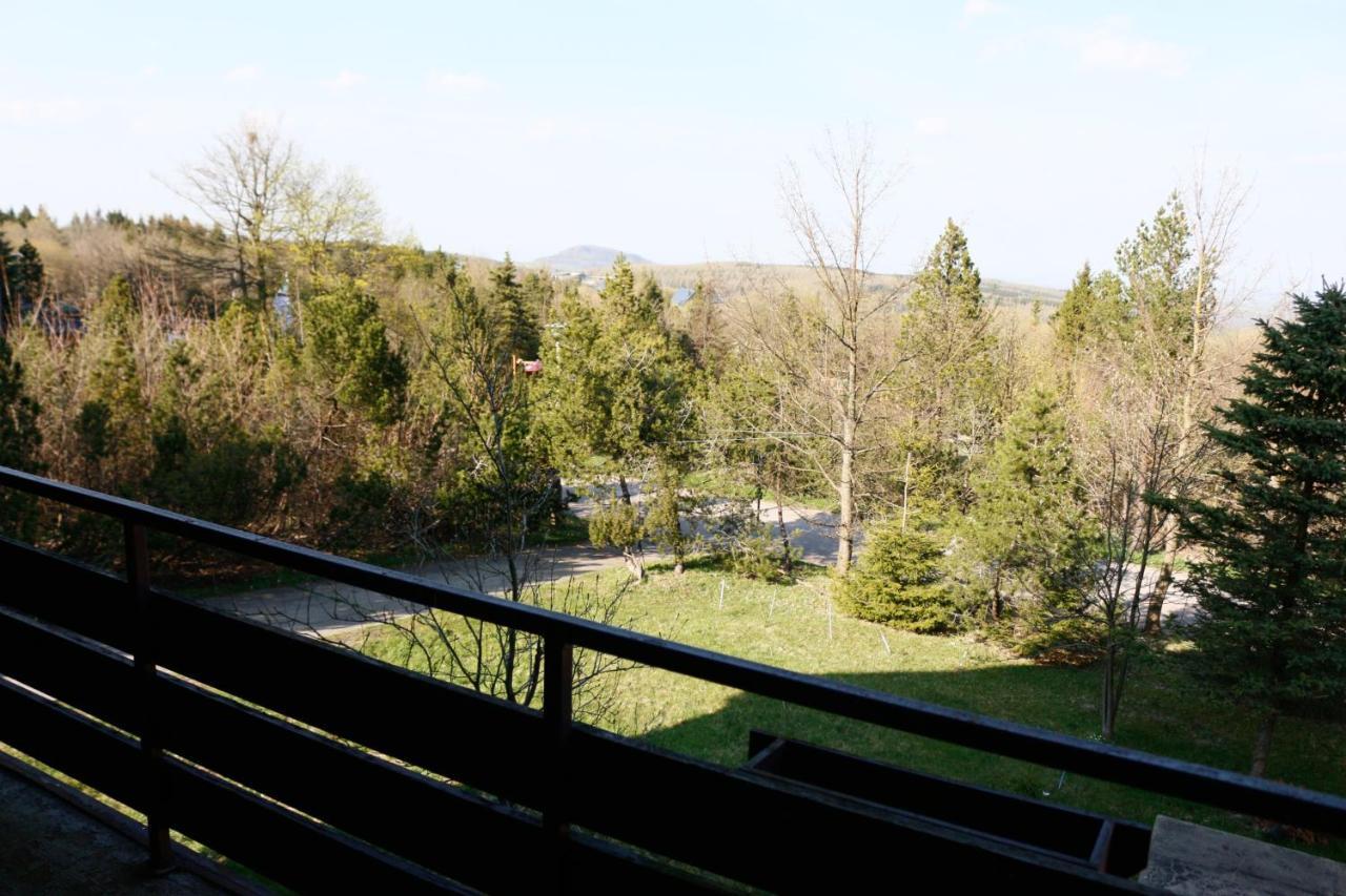Hotel Lugsteinhof Алтенберг Източен Ерцгебирге Екстериор снимка